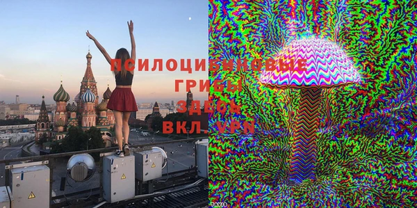 мдма Каменка