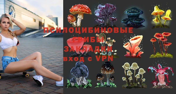мдма Каменка
