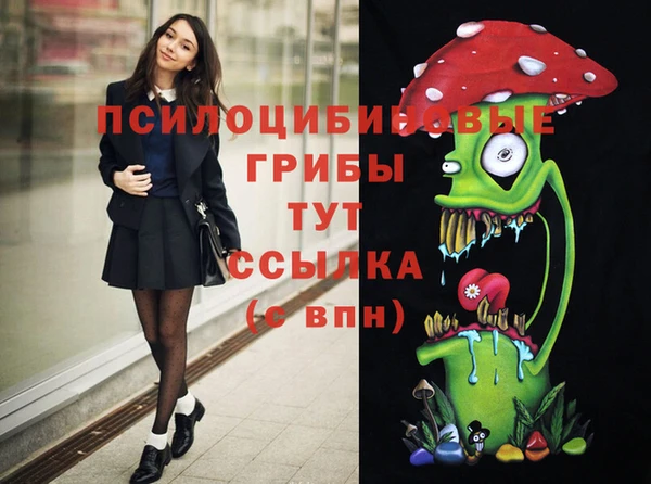 метамфетамин Каменск-Шахтинский